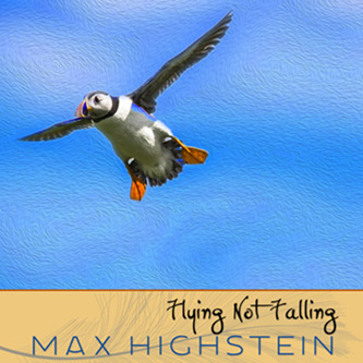 Flying Not Falling by Max Highstein